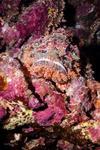 DSC03119