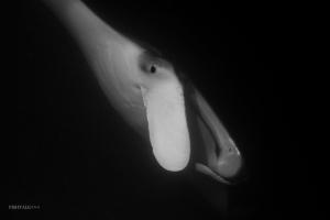 DSC05445
