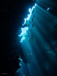 P4270013